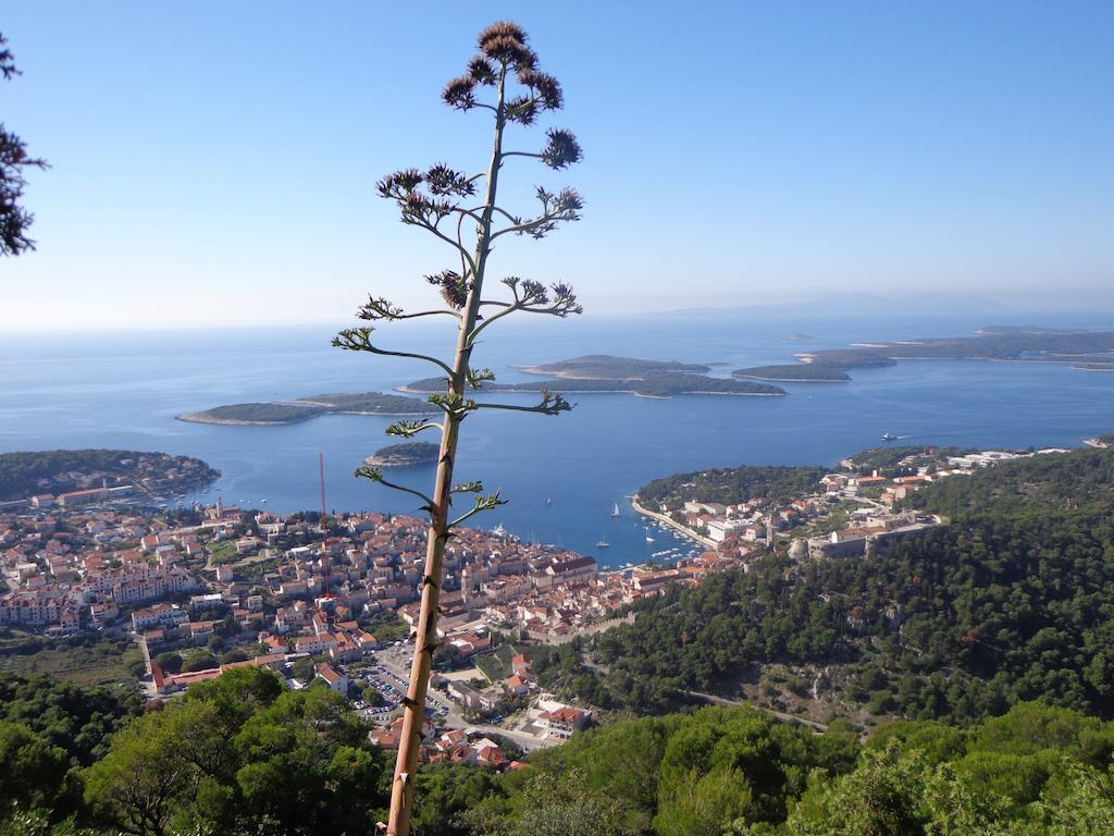 Ana Tudor Apartments Hvar Town Exterior foto